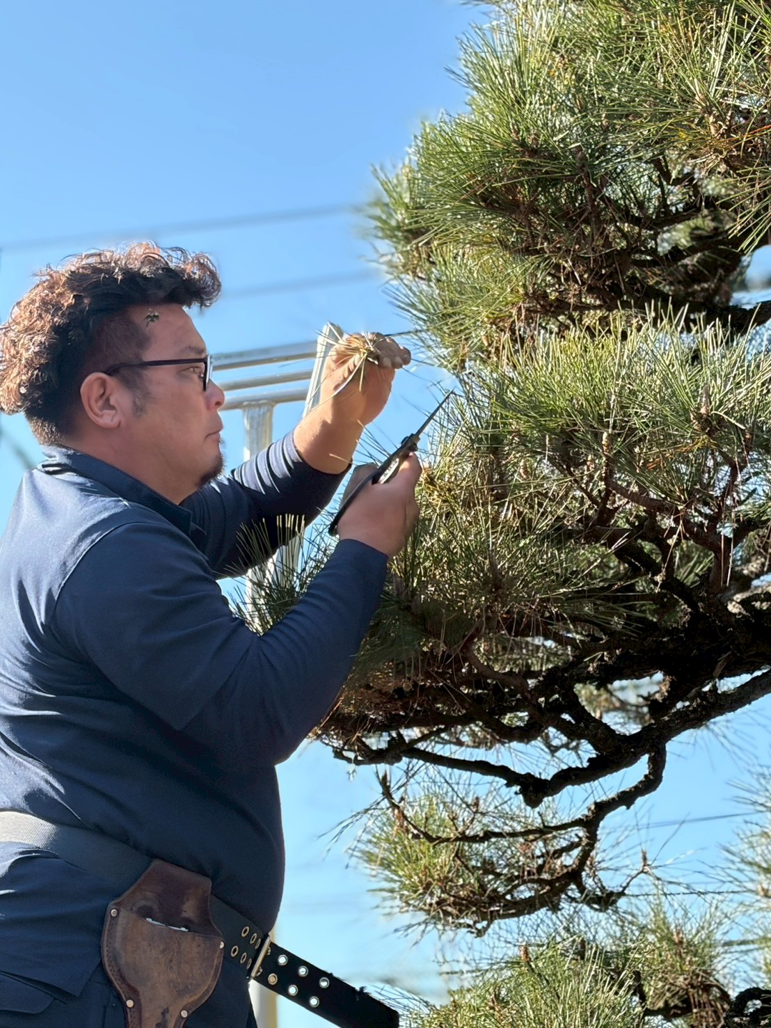 庭師の作業風景