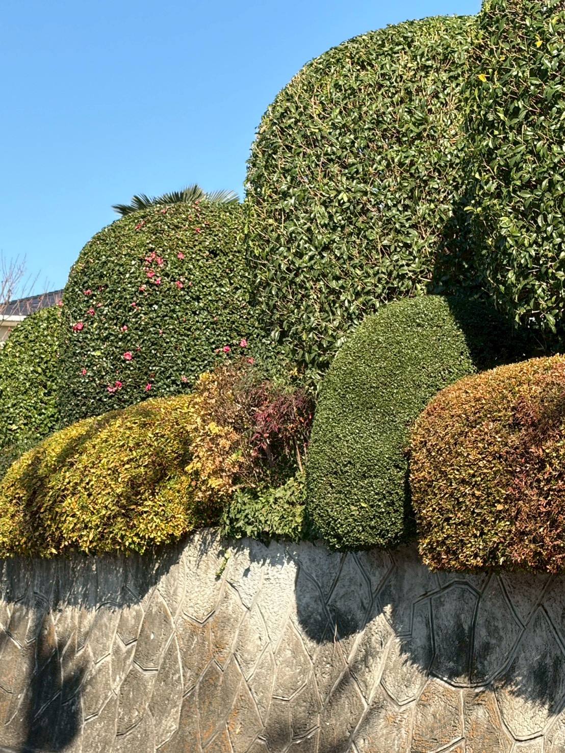 植栽工事の施工事例